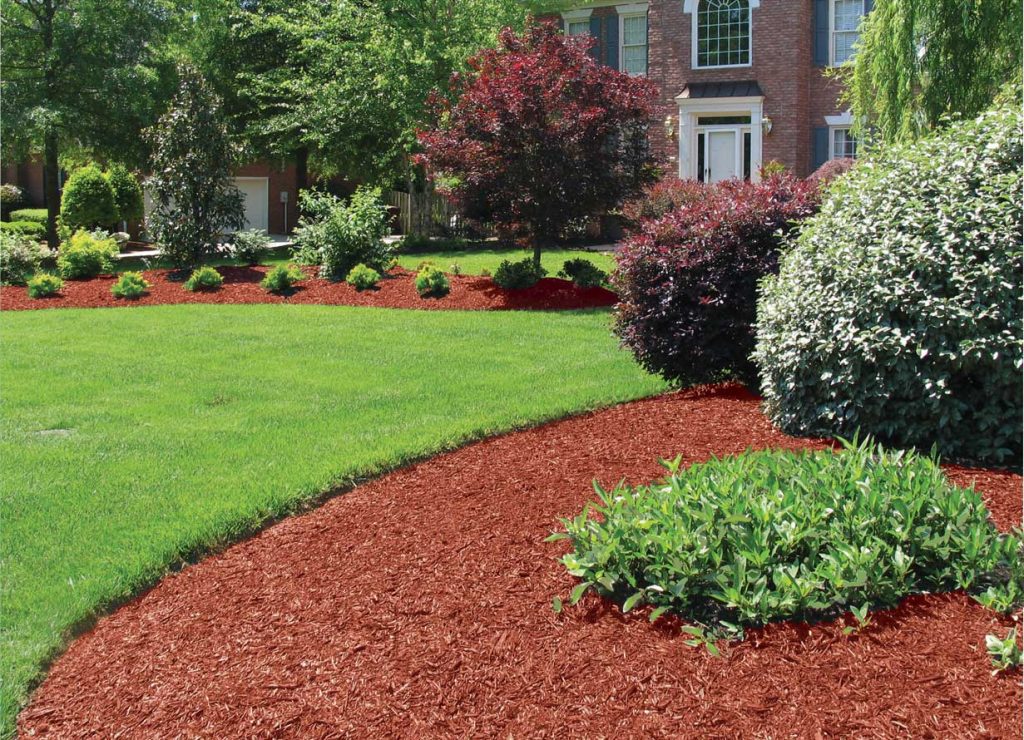 mulch mound 