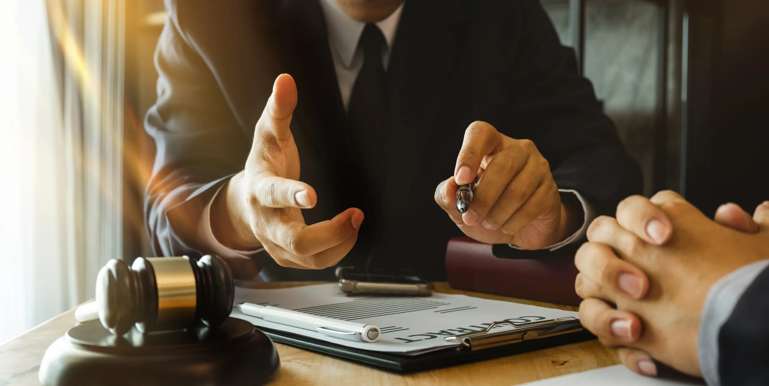 Professional Lawyer